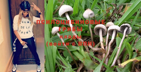 прущая мука Бугульма