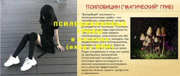 трава Бронницы