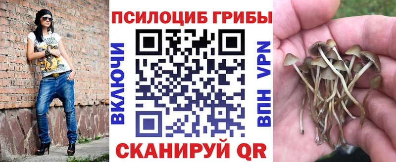 Псилоцибиновые грибы мухоморы  Бугульма 